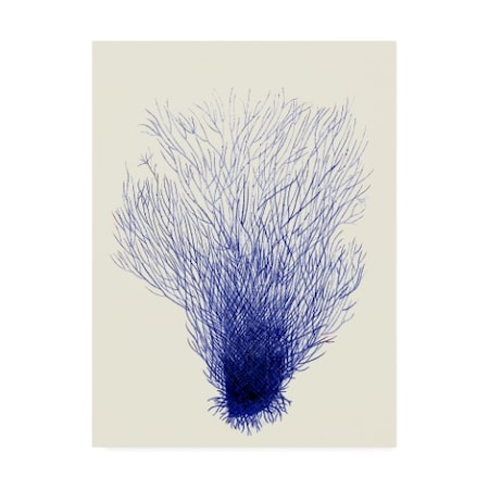 Fab Funky 'Blue Corals 2 D' Canvas Art,24x32